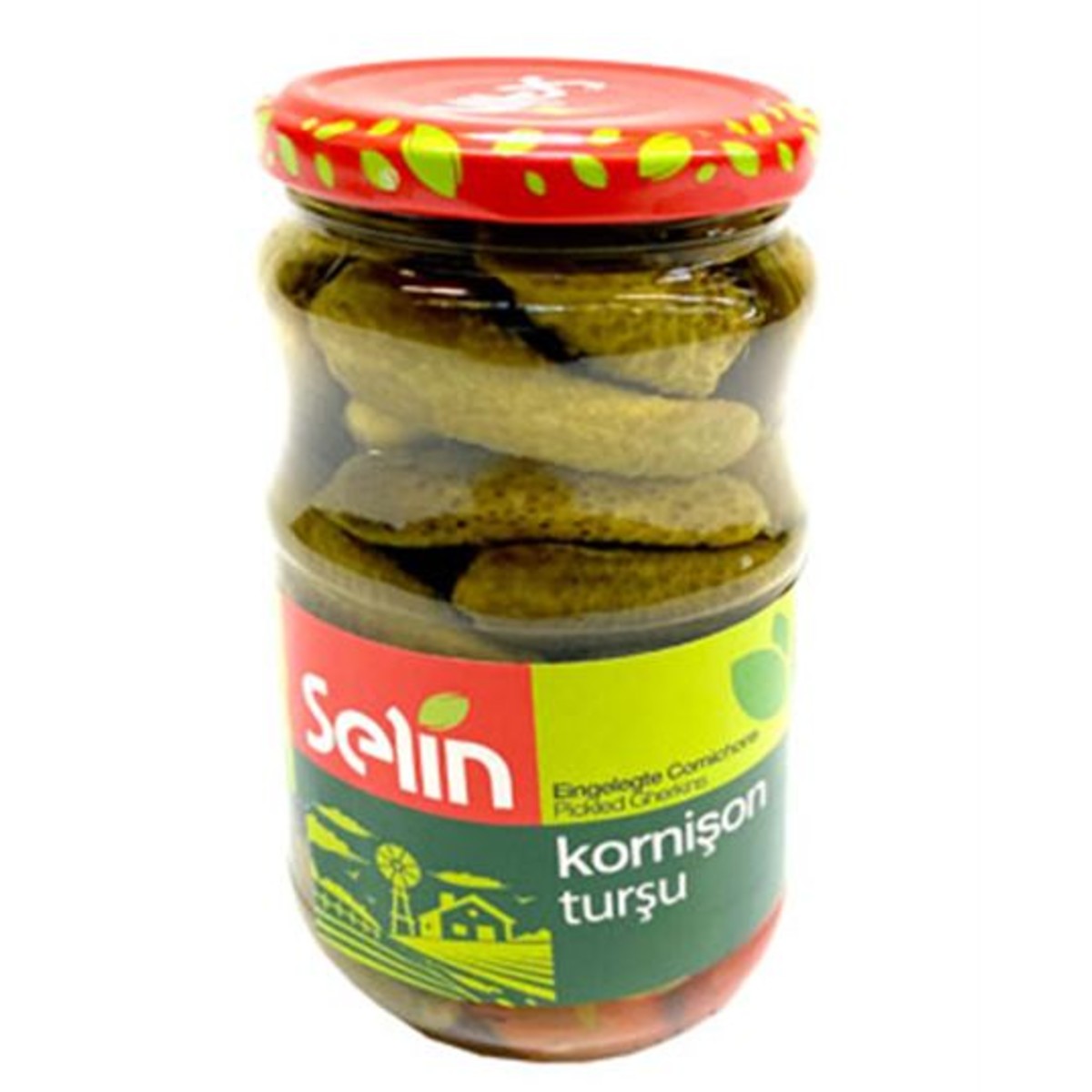 selin-kornison-660cc.jpg